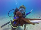 Hawaii Scuba divng 76