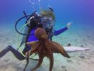 Hawaii Scuba divng 77