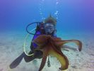 Hawaii Scuba divng 80