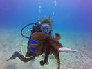 Hawaii Scuba divng 81