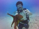 Hawaii Scuba divng 83