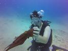 Hawaii Scuba divng 85