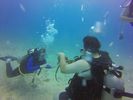 Hawaii Scuba divng 88