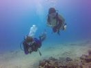 Hawaii Scuba divng 92