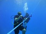 Hawaii Scuba divng 11