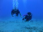 Hawaii Scuba divng 14