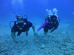 Hawaii Scuba divng 15