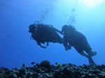 Hawaii Scuba divng 24