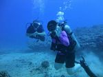 Hawaii Scuba divng 25