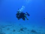 Hawaii Scuba divng 27