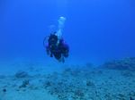 Hawaii Scuba divng 28