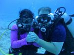 Hawaii Scuba divng 31