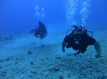 Hawaii Scuba divng 33