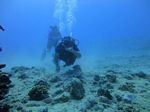 Hawaii Scuba divng 39