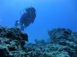 Hawaii Scuba divng 42