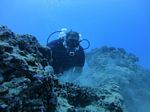 Hawaii Scuba divng 43