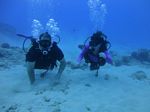 Hawaii Scuba divng 44