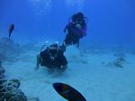 Hawaii Scuba divng 47