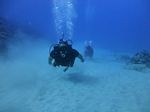 Hawaii Scuba divng 48