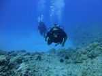 Hawaii Scuba divng 51