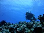 Hawaii Scuba divng 53