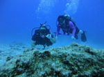 Hawaii Scuba divng 56