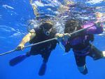 Hawaii Scuba divng 07