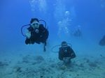 Hawaii Scuba divng 16