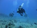 Hawaii Scuba divng 17