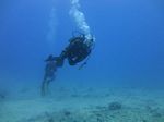 Hawaii Scuba divng 18