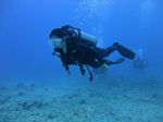 Hawaii Scuba divng 19