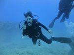 Hawaii Scuba divng 23