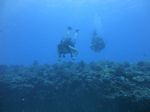 Hawaii Scuba divng 31