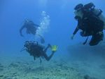 Hawaii Scuba divng 32