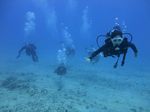 Hawaii Scuba divng 35