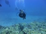 Hawaii Scuba divng 37