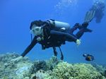 Hawaii Scuba divng 38