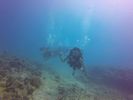 Hawaii Scuba divng 11