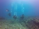 Hawaii Scuba divng 13