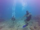 Hawaii Scuba divng 14