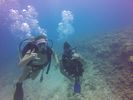 Hawaii Scuba divng 16