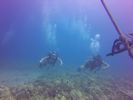 Hawaii Scuba divng 17