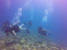 Hawaii Scuba divng 19