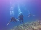 Hawaii Scuba divng 20