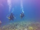 Hawaii Scuba divng 21