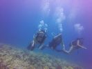 Hawaii Scuba divng 22