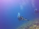 Hawaii Scuba divng 23