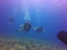 Hawaii Scuba divng 26