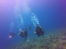 Hawaii Scuba divng 27