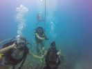 Hawaii Scuba divng 28